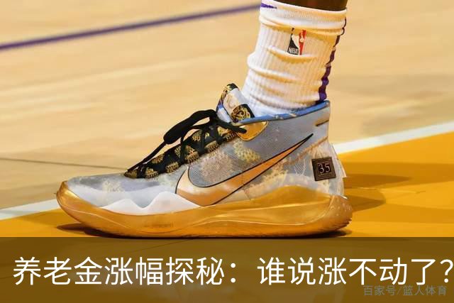 养老金涨幅探秘：谁说涨不动了？