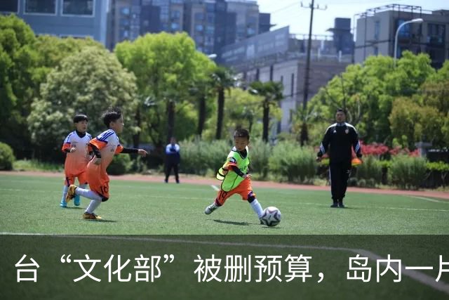 台“文化部”被删预算，岛内一片叫好