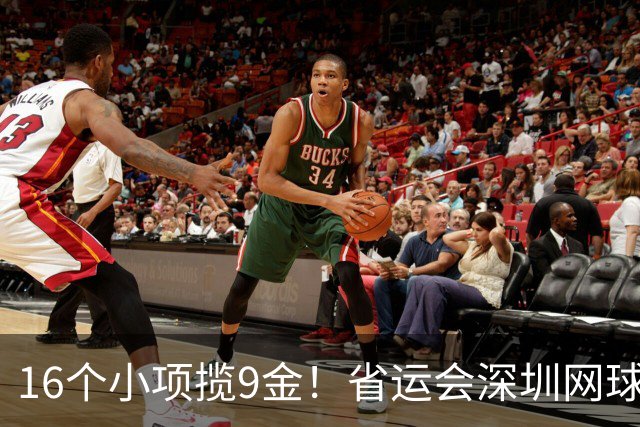 16个小项揽9金！省运会深圳网球狂揽金牌